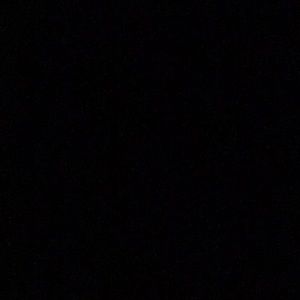 Meet your Posher, Brodie